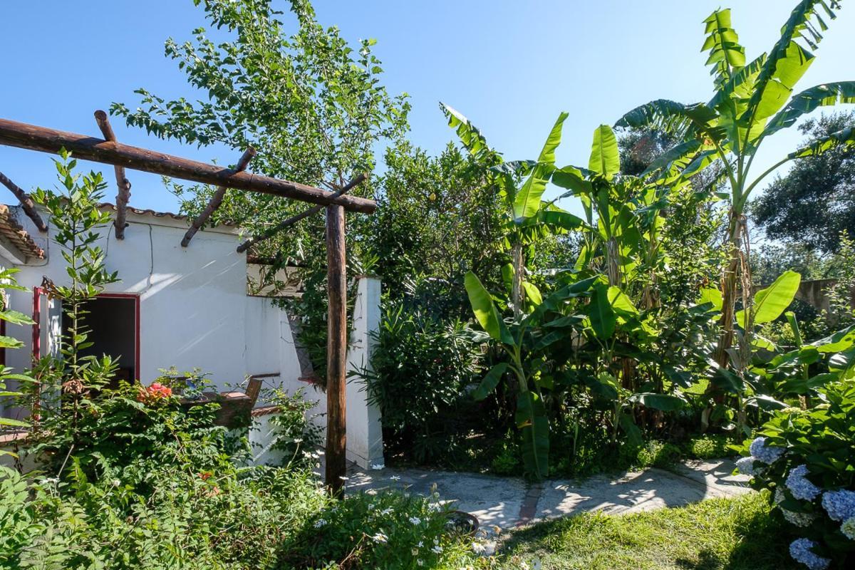 Aparthotel La Rosa Dei Venti Procida Exterior foto