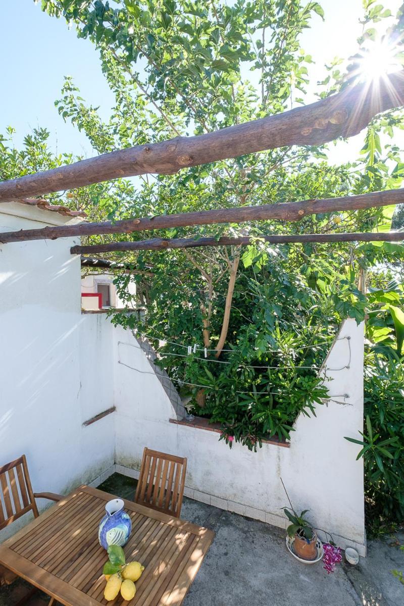 Aparthotel La Rosa Dei Venti Procida Exterior foto